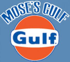 Moses Service Center LLC (1328270)